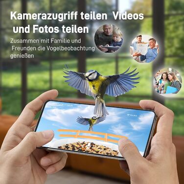 Сонячна годівниця для птахів з Wi-Fi камерою SOLIOM BF09, 1080P HD, автоматичний запис, сповіщення на телефон