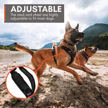 Шлейка для собак Non-Stop Dogwear Rock Harness, розмір M, чорна