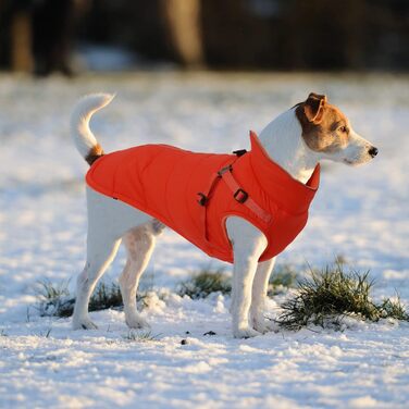 Зимова куртка для собак, жилет, водонепроникна, світловідбиваюча, з флісовою підкладкою, костюм для маленьких собак на вулицю з персоналізованою нашивкою, помаранчевий колір, XL (довжина спини 44 см), XL (персоналізований)