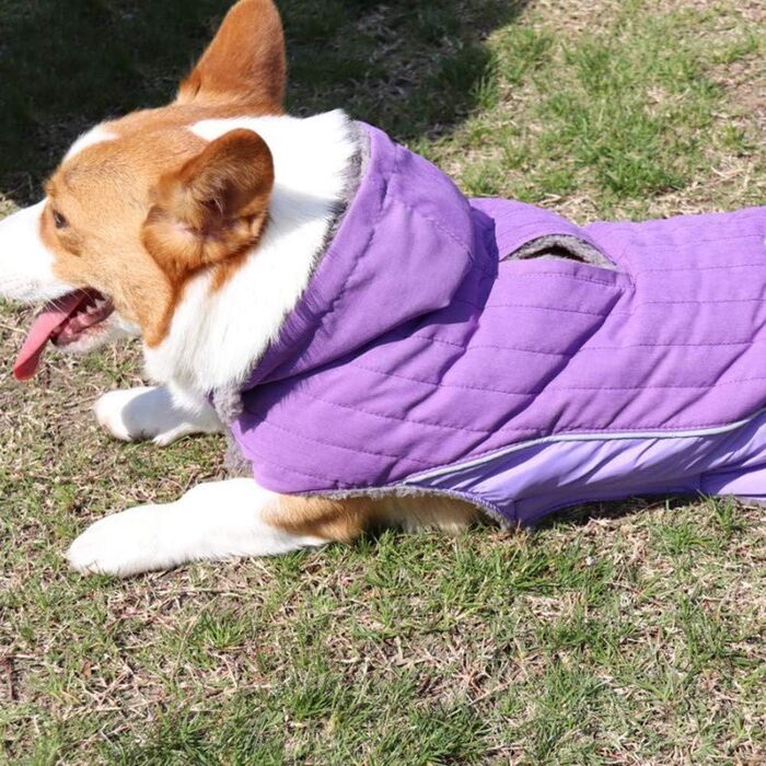 Зимова куртка для собак, теплий пуховик, костюм для собак, повсякденний одяг для тварин, тепла жилетка з капюшоном, L (53-60 см), фіолетовий