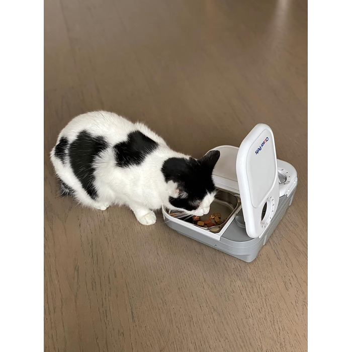 Автоматична годівниця Closer Pets C200 для котів і малих собак з нержавіючими мисками та льодовим пакетом