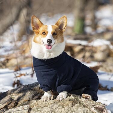 Зимова тепла куртка для собак, флісова підкладка, захист від вітру, регульована застібка, для малих та середніх собак, прогулянки, відпочинок, XXS