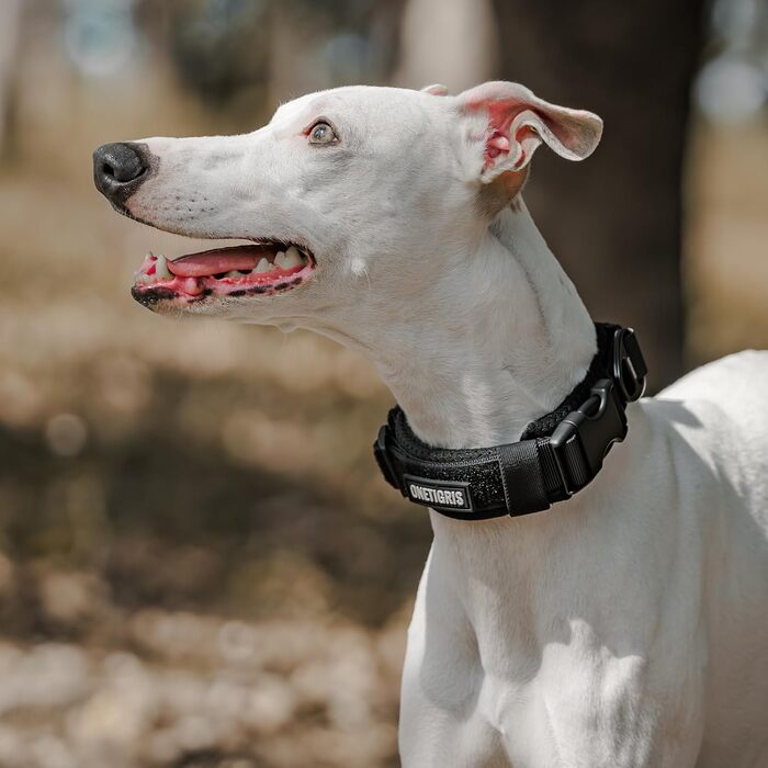 Нашийник для собак OneTigris, тактичний, з ручкою, чорний, S (30-40 см)