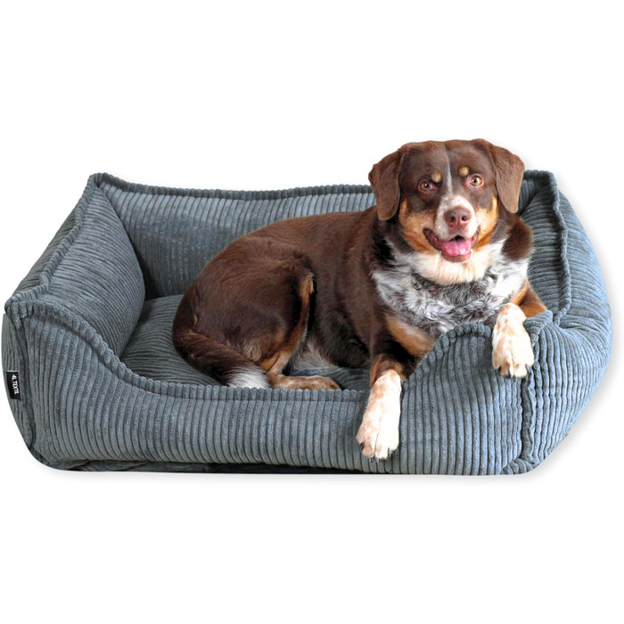 4L Textil М'яке собаче ліжко з корду Hugo Premium-LINE, ортопедичне, для маленьких собак, з піною з пам'яті, знімний чохол, плюшеве (темно-сірий, 60x40 см)