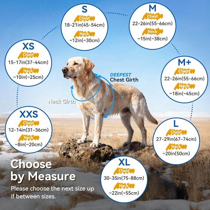 Теплий зимовий одяг для собак VIVAGLORY Frostfit: софтшелл з підкладкою з флісу, захист від снігу та холоду, світловідбиваючі елементи, сірий, XS (37-44см)