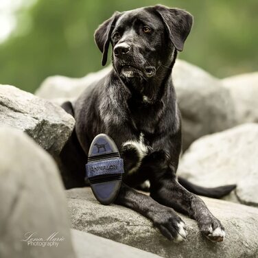 Щітка для собак з короткою шерстю Animalon Kurzhaar: для догляду під час линьки | Інноваційна щітка для собак з короткою шерстю