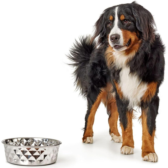 Миска для тварин Hunter Namy 3800 мл, нержавіюча сталь, срібляста