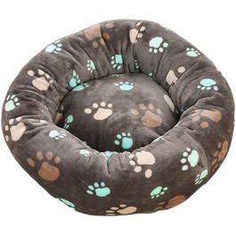 колір: кіготь кота