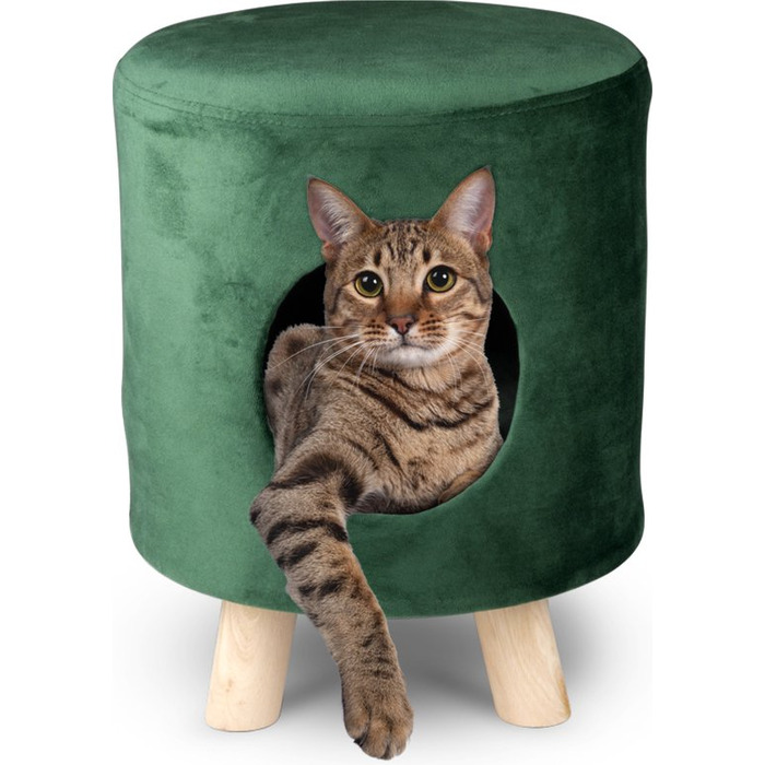 Лежак-пуф для котів Maxxpro на ніжках, будинок-кошик із зеленого оксамиту