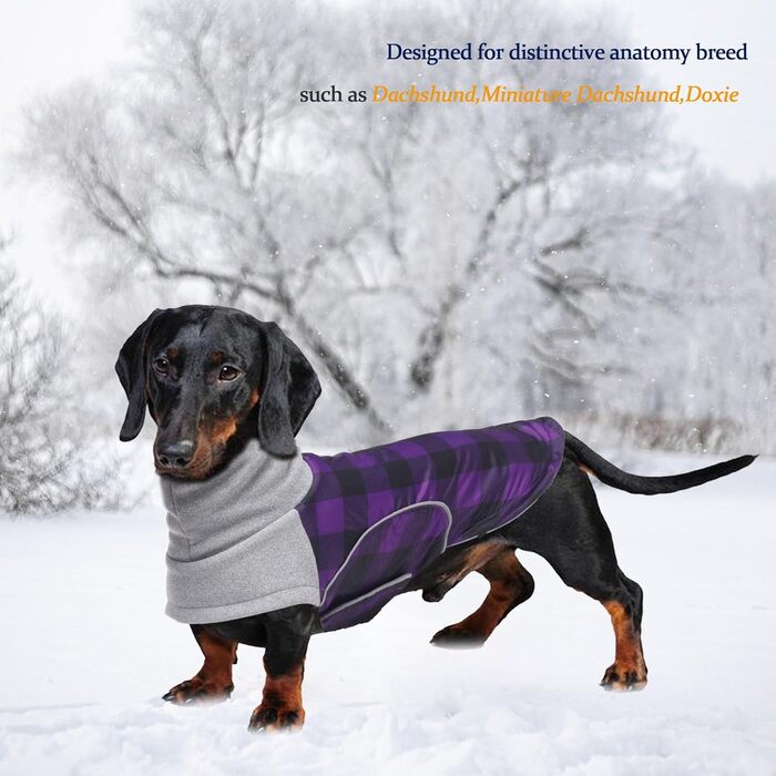 Водонепроникна зимова куртка для маленьких собак, мініатюрний джек-рассел, куртка для собак з отвором для шлейки, ідеальна для прогулянок, походів, кемпінгу, розмір (xs, фіолетовий в клітинку)