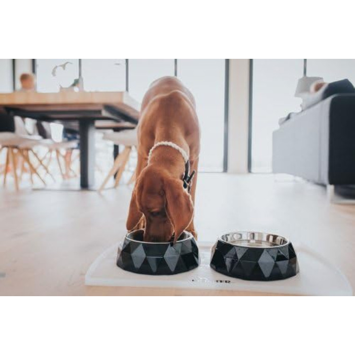 Набір мисок для собак та котів Hunter Kimberley з нержавіючої сталі (білий, 700 мл)