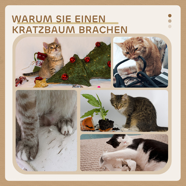 PawHut Cat Tree 72 см Котяча вежа з плюшевими кульками, стовбури з сизалю, платформа, кігтеточка Багатоярусна кігтеточка для кішок, лазіння по дереву, для середніх кішок, кремово-біла | Аосом