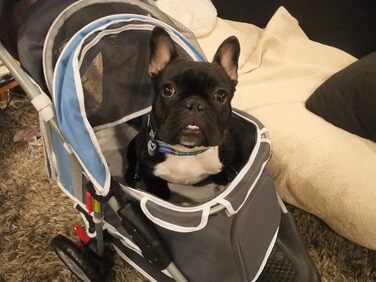 Візок для тварин Innopet First Class IPS-09 (синій) – складаний, для собак та котів