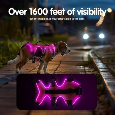 Світловідбиваючий нашийник для собак з LED, перезаряджуваний, зручний, водонепроникний, для середніх та великих собак, зелений (рожевий, M)