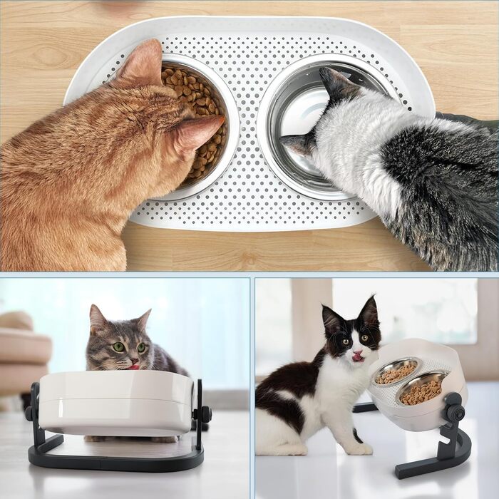 Підвищений годівниця для котів ALL FOR PAWS - 3-рівневий регульований підставка для мисок з 2 мисками з нержавіючої сталі (350 мл кожна), антиковзаюча та захищена від розливання, підходить для кошенят, середніх та великих котів (56 * 30 * 20 см)