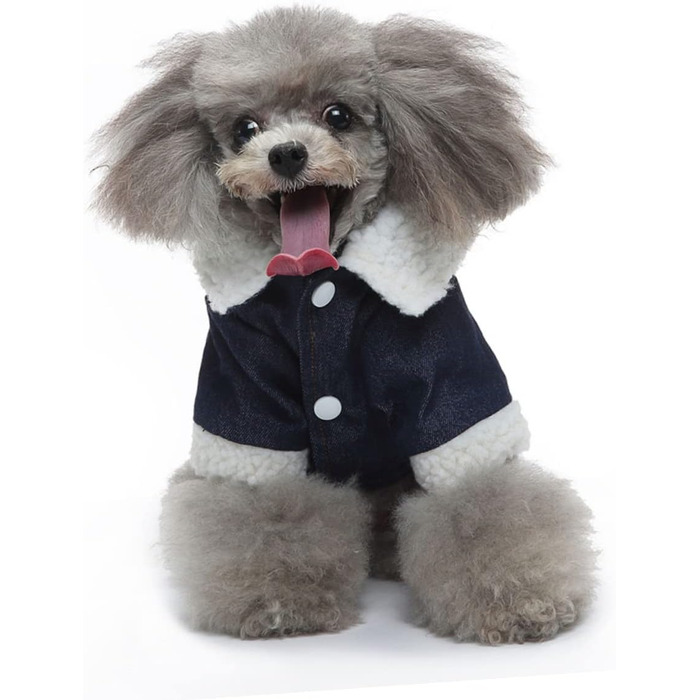 Теплий зимовий костюм для цуценят Abaoadam: зручний халат для прогулянок та ігор на вулиці