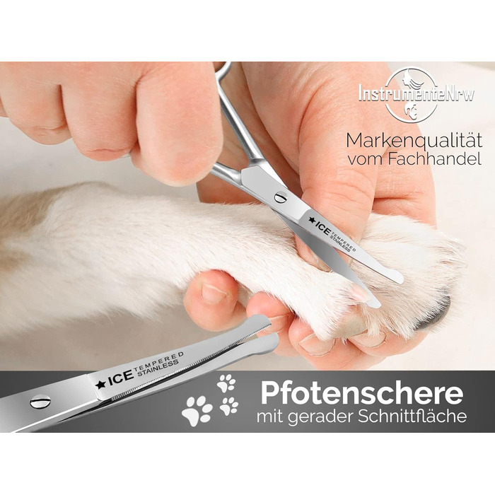 Набір для догляду за лапами та шерстю собак: 5-ти елементний набір професійних ножиць