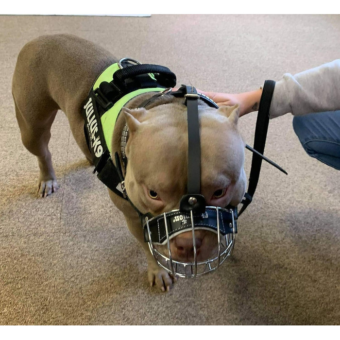 Корзина для собак American Bully, чорна шкіра/чорний дріт, BA
