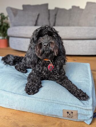 М'яке лежанка для собак з м'якою підкладкою, знімний чохол, світло-сірий та світло-блакитний, 3 розміри, ковдра для собак з антиковзаючою основою, світло-сірий, розмір M (90 x 62 см)