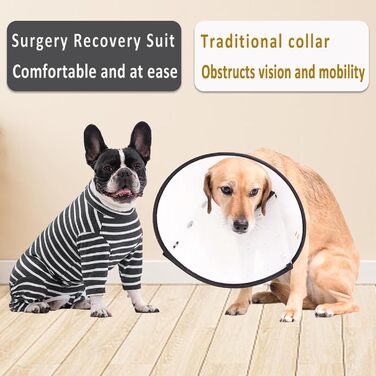 Комбінезон для собак після операції Axcimond, сірий, L, захисний одяг для відновлення, хірургічний костюм для тварин