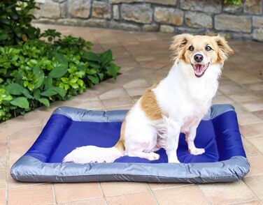 Водонепроникний килимок для собак та котів Sogni e Capricci, поліестер, 55x38 см, світло-блакитний