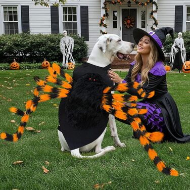 Костюм на Хелловін для собак великих порід: пухкий костюм павука з 64 LED, веселий костюм для Хелловін, вечірка, косплей (Помаранчевий)