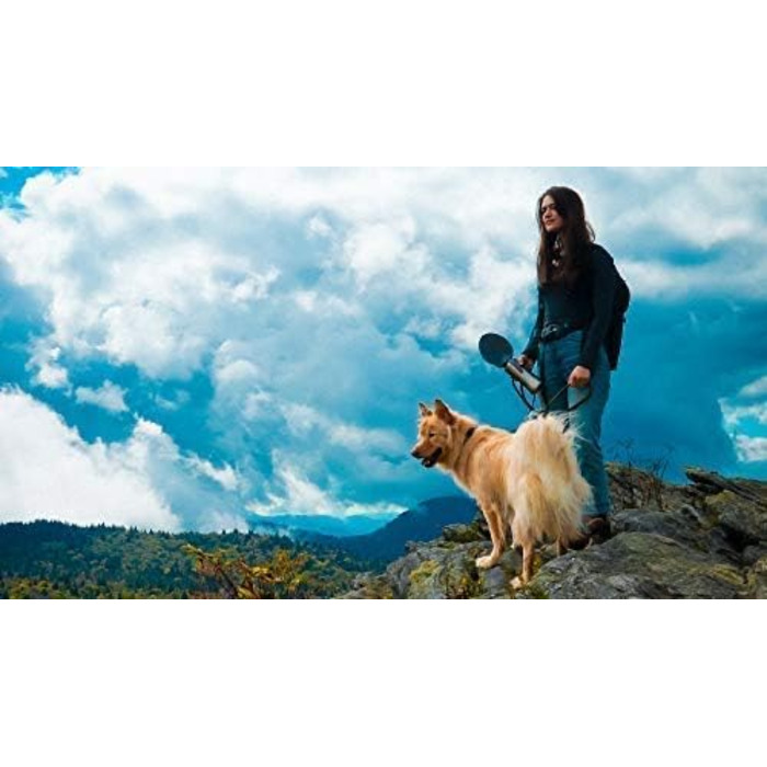 Пляшка для води для собак Pacific Paws Northwest, нержавіюча сталь, портативна, з силіконовою кришкою-листком, поїлка для прогулянок і подорожей, 765 мл, зелена