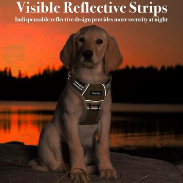 Шлейка для собак Funfox великих порід, тактична, анти-тяга, дихаюча, камуфляж (S, коричнева)