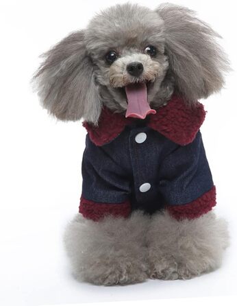 Зимовий теплий водонепроникний одяг для собак Eringogo (L, Multi) - для прогулянок та фотосесій