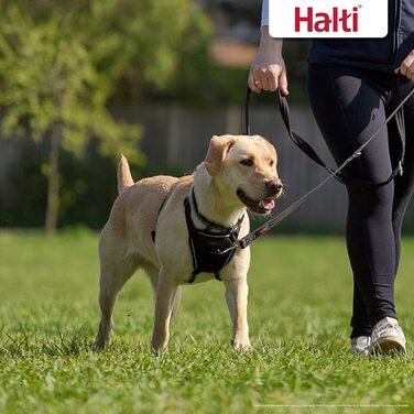 Нашийник HALTI No Pull чорний, розмір M - запобігає потягування собаки, м'який, з відбиваючим матеріалом, легко регулюється