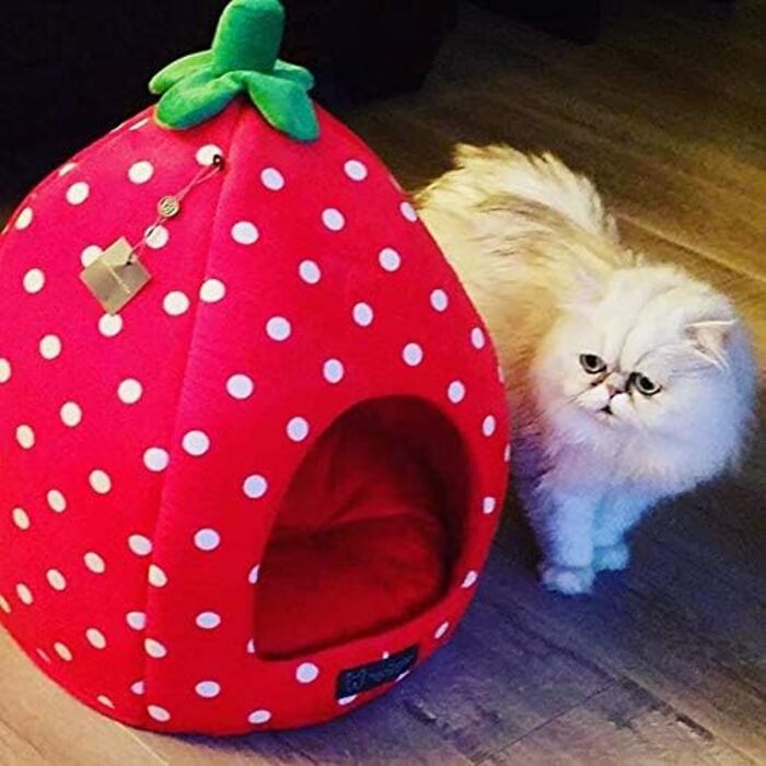 Ліжко для собак і котів NANDOG Insta Fun Полуниця, ультрам'який мікроплюш, ортопедичне, дизайнерське, з пінною основою, фруктовий стиль