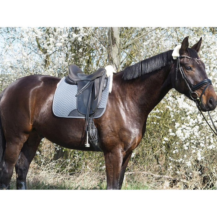 Підійде для конкурної їзди: Schabracke Engel Reitsport з овечкою та сірим степлером (D)