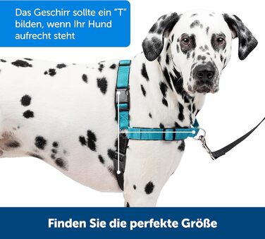 PetSafe Easy Walk Deluxe - шлейка для собак, нейлонова, чорна, розмір M (1 шт.)
