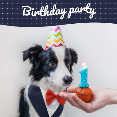 Нашийник для собак Kuoser, святковий аксесуар, великий розмір (L), блакитний