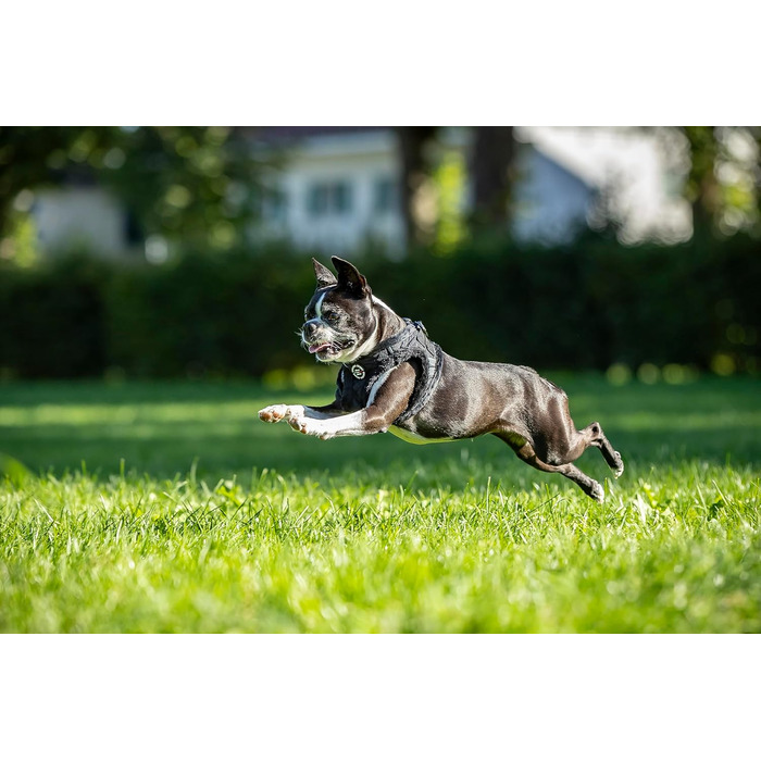 М'який нашийник для собак CHIARA MIA, розмір XL, чорний. Водовідштовхуючий, з регулюванням на липучці, світловідбиваючі смуги.