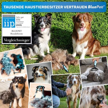 BluePet щітка для шерсті собак і котів, підшерсток, для довгошерстих, з масажним ефектом і захистом покривної шерсті