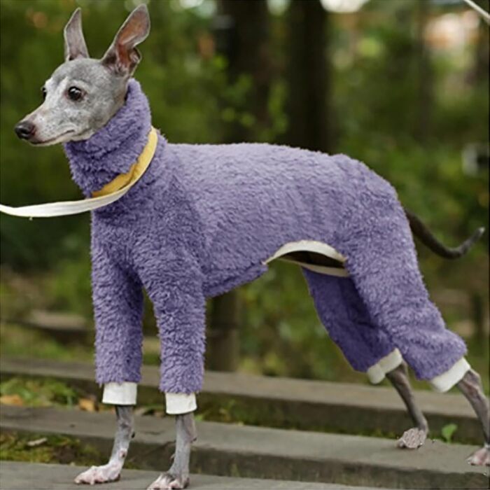 Теплий флісовий комбінезон для собак з принтом грейхаунд, з високим коміром, розмір M (2 шт.)