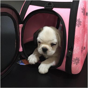 Транспортна переноска для собак та котів, рожева, середнього розміру. Зручна переноска для подорожей на відкритому повітрі. Дихаюча, комфортна переноска для тварин.