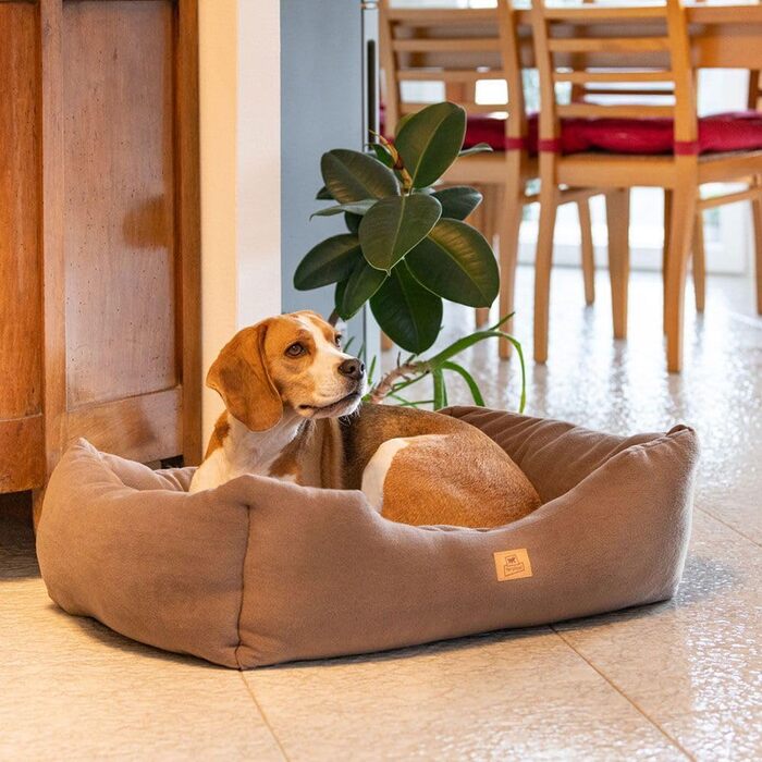 Крісло-лежанка для собак та котів Ferplast Coccolo, велике (78x56x22 см), Microfleece, бежеве, миється