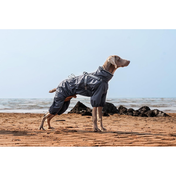 Водонепроникний комплект для собак BT Bear: жилет, дощовик, жилетка, шлейка, 6XL, сірий