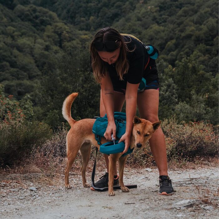 Водна пляшка для собак Kurgo RSG, знімний чохол, сумісна з MOLLE, кріплення для службового нашийника, блакитна, універсальний розмір
