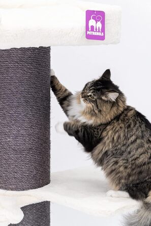 Дряпак для великих котів Petrebels Maine Coon 117 см, преміум-якість, стовпи 20 см, білий