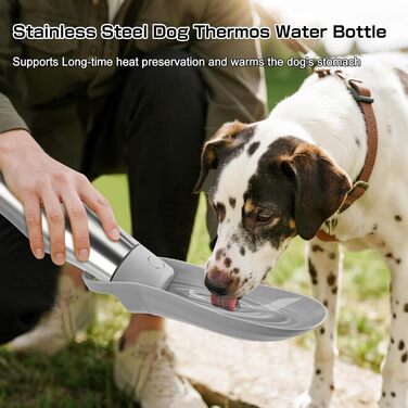Водяна пляшка для собак на прогулянці 750 мл - не протікає, з нержавіючої сталі, з подвійними стінками, ізольована, сіра