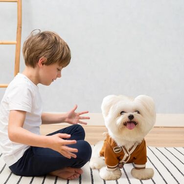 Теплий зимовий пуловер для собак Галатея з кільцем D, коричневий (M)