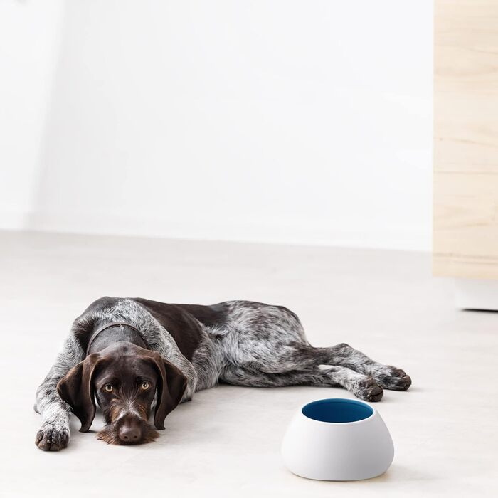 Навіс для собак Navaris Design з кераміки - велика миска для корму - миска для собак, миска для їжі - миска для кокер-спанієля та собак з довгими вухами - миска для собак з довгими вухами біло-блакитна
