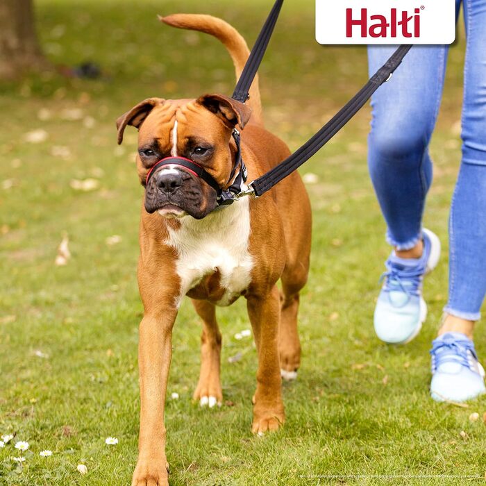 HALTI Optifit нашийник-упряж для середніх собак, анти-тяг, регульований, з м’якою накладкою на морду