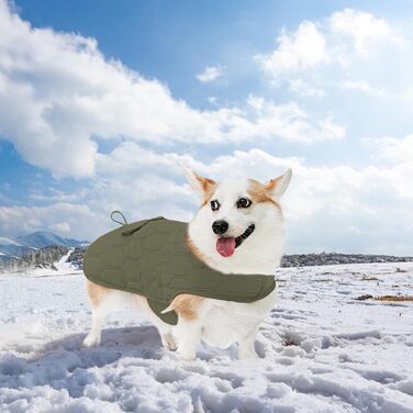 Зимовий теплий одяг для собак - тепла вітрозахисна жилетка для собак, одяг для собак на холодну зиму, зручна куртка для маленьких, середніх та великих собак (зелений)