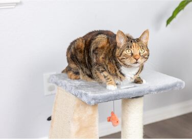 Дряпак для котів Armarkat Aeromark, котячий комплекс