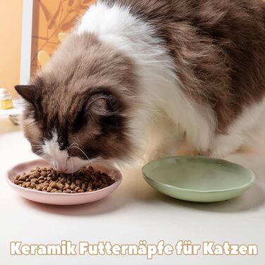 Набір керамічних мисок для котів 6er – годівниця та миска для їжі з неслизьким силіконовим дном | Плоскі, широкі миски для їжі | Непошкоджуючі для вій та придатні для миття в посудомийній машині