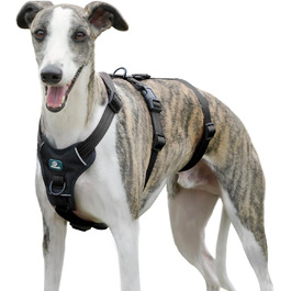 Пауерлд: Безпечна шлейка для собак, анти-тяга, паніка-шлейка, захист від втечі, регульована, дихаюча жилетка для собак (Чорний, XL) Екстра велика (упаковка з 1) Чорний